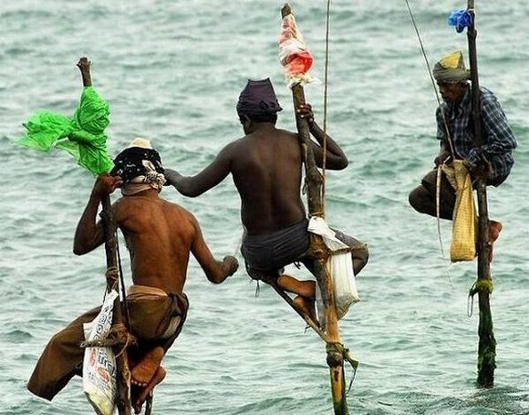 Fishing in Srilanka